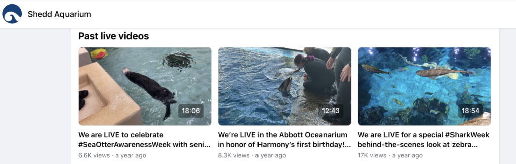 Three past live videos from Shedd Aquarium's Facebook page. The first video is from sea otter awareness week and shows a dark brown otter floating playfully at the top of the aquarium pool. The second shows animal caretakers crouched on rocks next to water, where a dolphin pokes its head above the water. And the third shows a large tropical habitat from the top of the water where you can see sharks swimming under the surface.