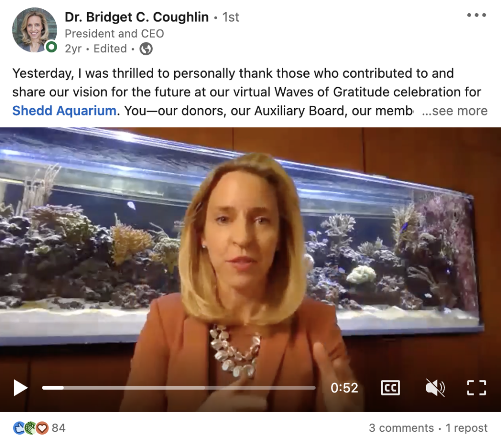 A LinkedIn post on the CEO of Shedd Aquarium's account featuring a video where she is looking at the camera to speak, with a large tropical aquarium visible behind her.